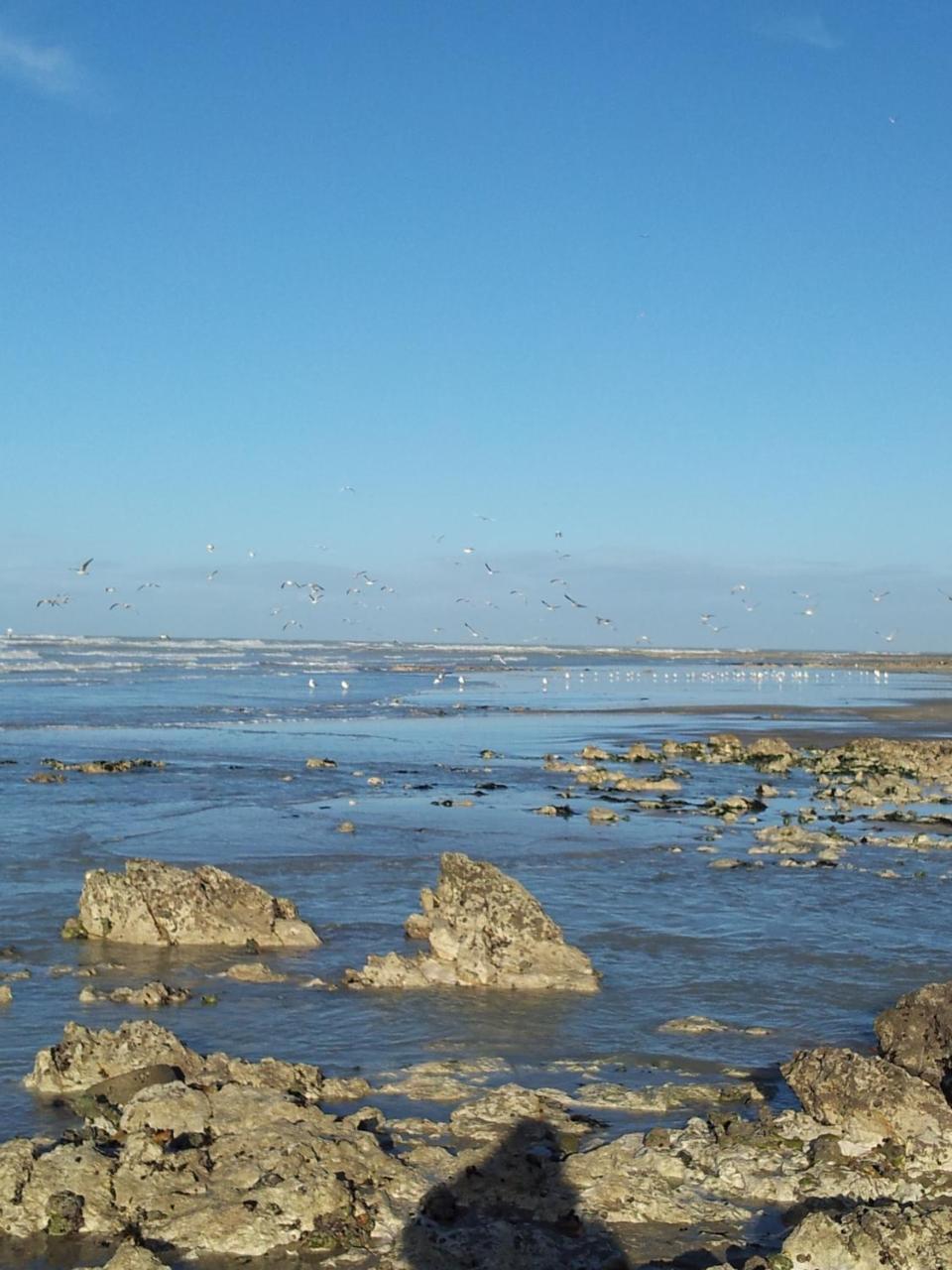 Camping Le Mont Joli Bois Criel-sur-Mer Zewnętrze zdjęcie